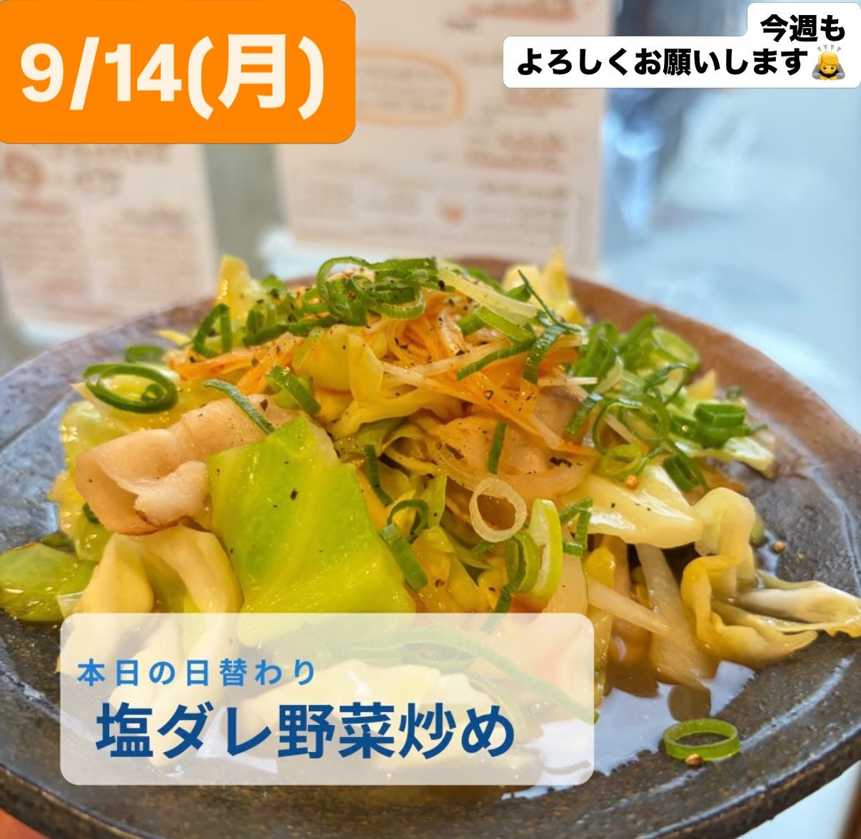 🌺【店長、昨日は高槻のハイサイ！琉球まつり！に行ってきました